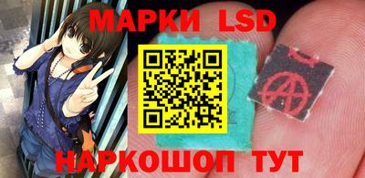 гидра Рязань