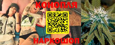 гидра Рязань