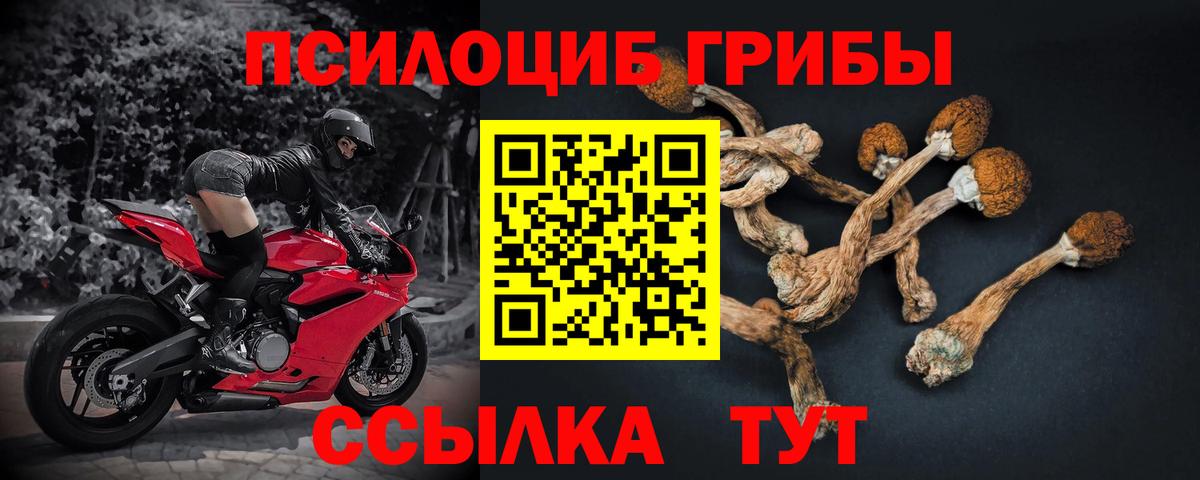 Галлюциногенные грибы прущие грибы Партизанск