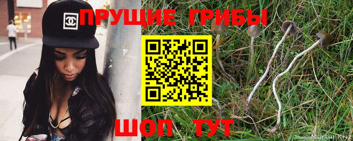 Партизанск  цена   Вход с VPN  Галлюциногенные грибы Psilocybine cubensis 